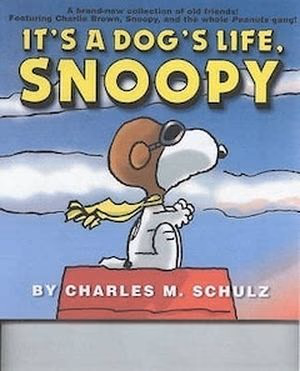 From Snoopy to Rocket: The Comic Book Companions Who Steal the Show