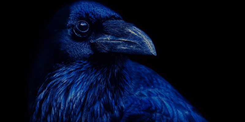 5 Fierce Novels Where Animals Fight Back