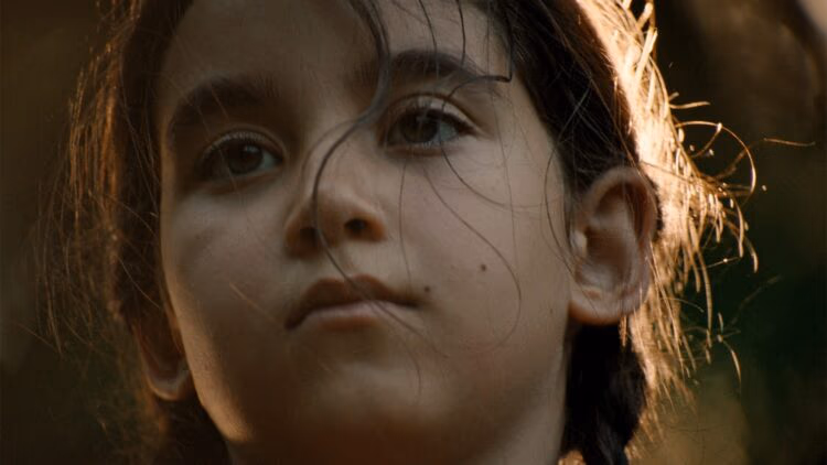 Four New Films Drop on Streaming This Week: 'Blue Heron' & More